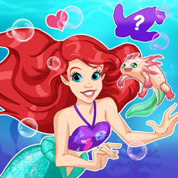 Mermaid Pet Shop