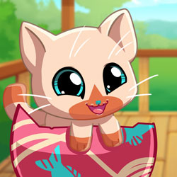 My Pocket Pets: Kitty Cat<br />[2.4x]